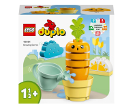 Klocki LEGO® LEGO DUPLO 10981 Rosnąca marchewka